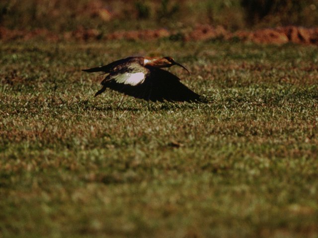 Photos - Nature - 049
